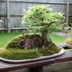 Gadget : Un bonsaï inspiré du « Seigneur des anneaux »