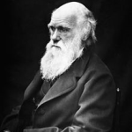 L’homme de l’an 2000 et la sélection naturelle; Darwin en serait bouche bée!