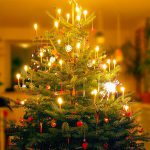 Sapin de Noël : Les différences entre artificiel et naturel