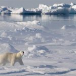 L’Arctique canadien : désert ou terre de convoitise?