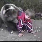 Khabib Nurmagomedov en vidéo : Il lutte contre des ours!