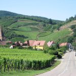 « Trip » de gars sur la route des vins d’Alsace