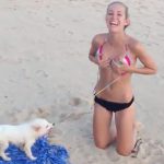 Humour: Un chien veut lui enlever son bikini… et il ne lâche pas le morceau!