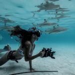 Ce couple risque leurs vies en nageant avec les requins