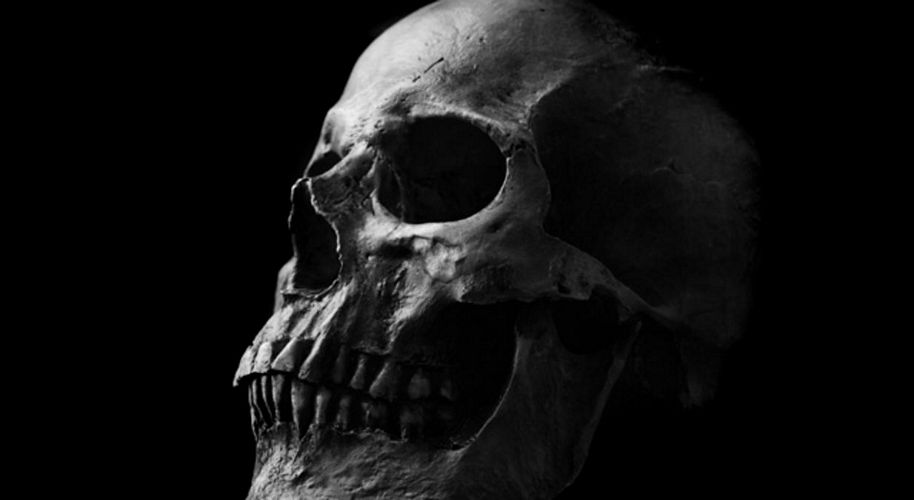 usr_img/2016-04/55912830/tn_human+skull+crop.jpg
