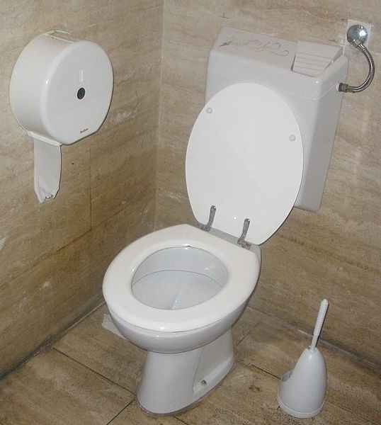 usr_img/3318283872/538px-Toilet_with_flush_water_tank.jpg