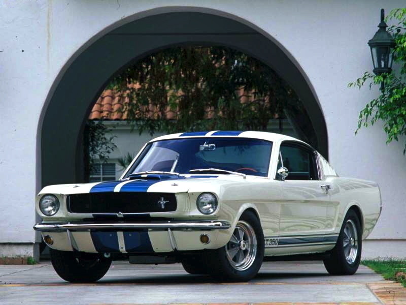 usr_img/342494286/03Ford-Mustang_Shelby_GT350_1965_800x600_wallpaper_01.jpg