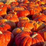 Halloween : du bonbon pour les détaillants canadiens