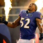 NFL Superbowl XLVII : Qui sont les Ravens de Baltimore?