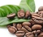 Les extraits de café vert : une solution miracle pour perdre du poids?