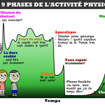 Activités physiques : Les 9 phases à connaître