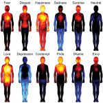Étude : Une carte du corps pour les émotions