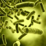 Superbactéries : Autrefois simples à traiter, elles résistent de plus en plus aux antibiotiques