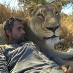 Buzz du Web #91 : Les lions ne sont en réalité que de gros chats