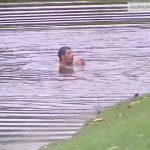 Golf : Il saute à l’eau pour se sauver des guêpes qui l’attaquent!