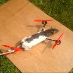Un ado crée un drone avec son rat mort