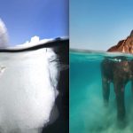 17 photos magnifiques de ce qui se cache sous l’eau