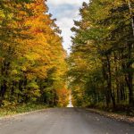 Les plus belles routes panoramiques du Québec à faire en auto